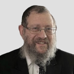Rabbi Noach Orlowek